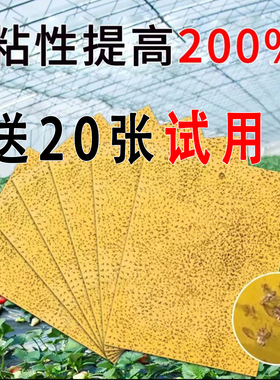 粘虫板黄板双面大棚果园家用蔬菜防虫贴蓝色针锋贴果蝇蓝板庭院