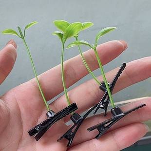 小草发夹可爱头上长草豆芽卖萌头顶搞怪夹子发卡发饰抖音超火头饰