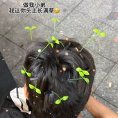 网红头顶上长草发夹可爱小豆芽顶夹发卡头饰女搞怪卖萌神器一根草