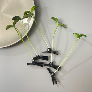 创意清新可爱搞怪真立体小草豆芽儿童头上长草卖萌发夹卡子头顶