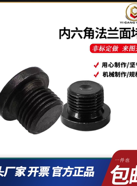 内六角法兰面堵头 螺塞 闷头 油塞G1/8G1/4G3/8G1/2G3/4M20*1.5