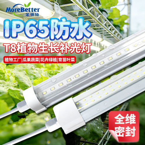防水植物生长补光灯T8LEDIP65级