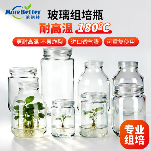 耐热180度不易炸裂玻璃组培瓶