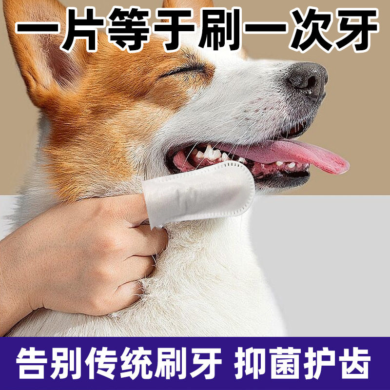 宠物用品一次性宠物洁牙手套口腔牙齿清洁牙垢结石刷牙指套湿巾