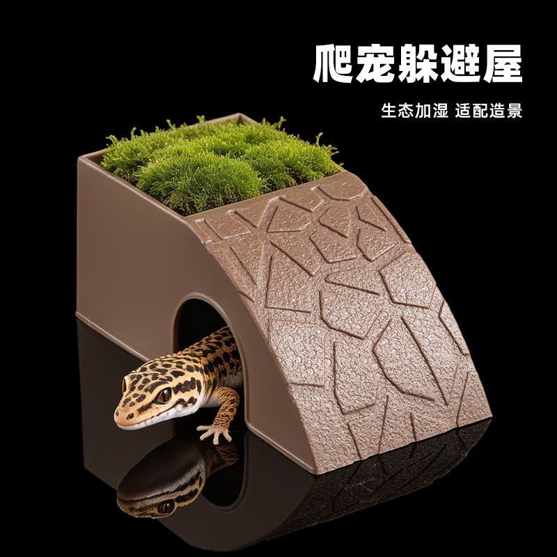 多功能爬宠躲避屋守宫睫角蜥蜴蜘蛛螃蟹洞穴躲藏窝加湿爬虫攀爬台