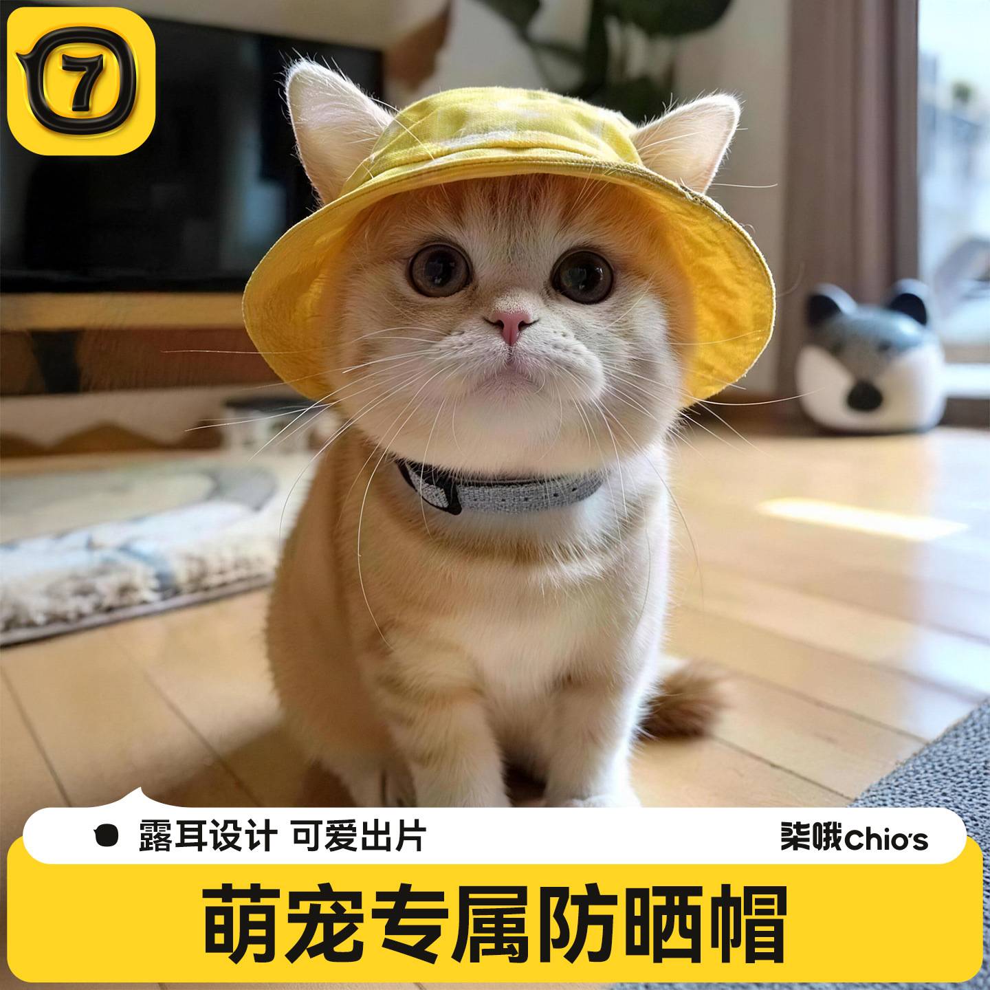 猫咪帽子可爱露耳朵狗狗夏季防晒太阳帽德文猫英短宠物小猫渔夫帽