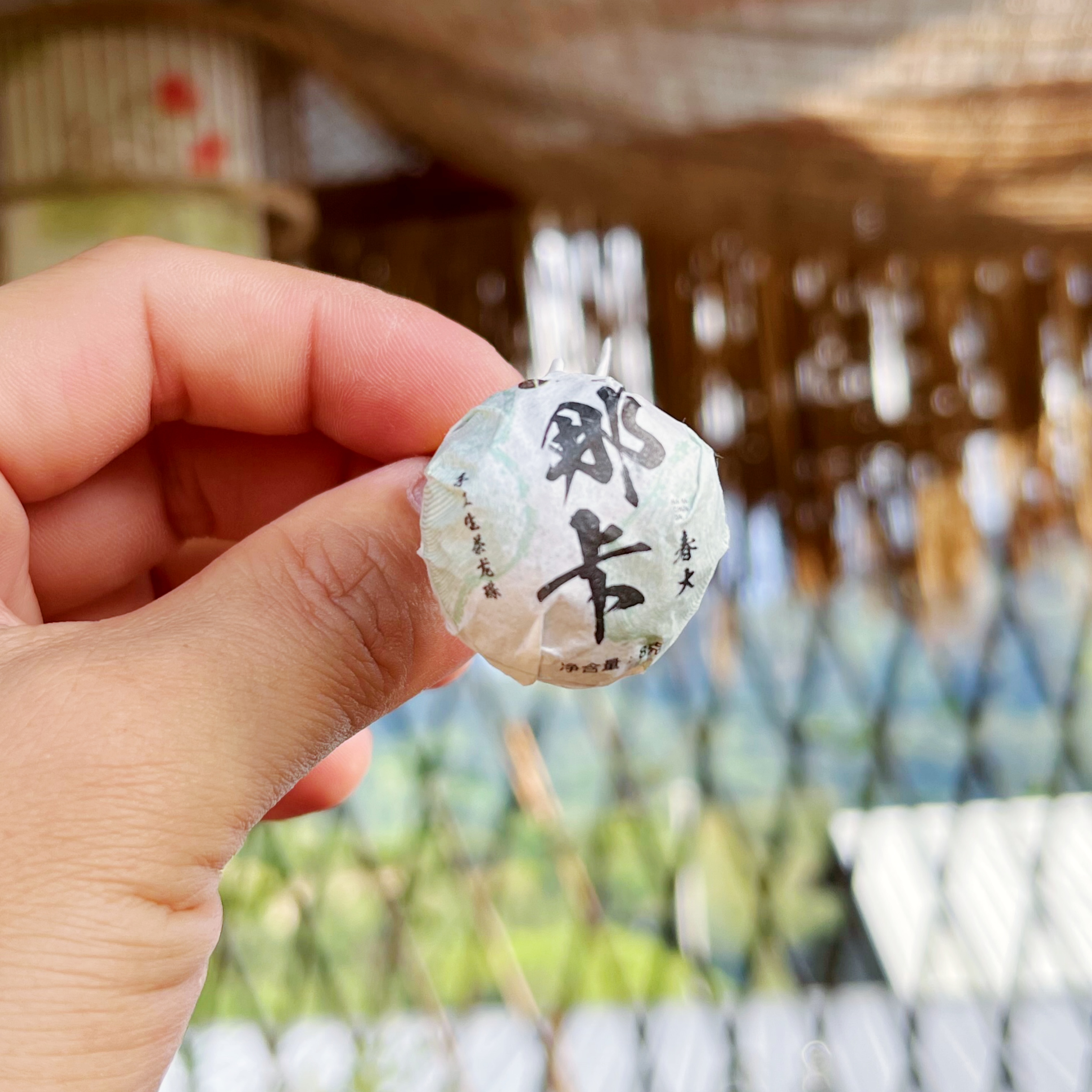 2024年 那卡春大 龙珠10颗装普洱茶生茶