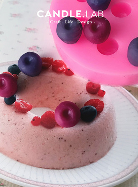 CANDLE.LAB | 迷你蓝莓DIY香薰石膏蜡烛扩香石车载挂件硅胶模具09