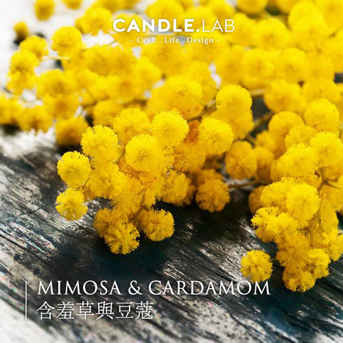 CANDLE.LAB | 含羞草与豆蔻香料DIY香薰石膏蜡烛扩香石香薰精油24 - 封面