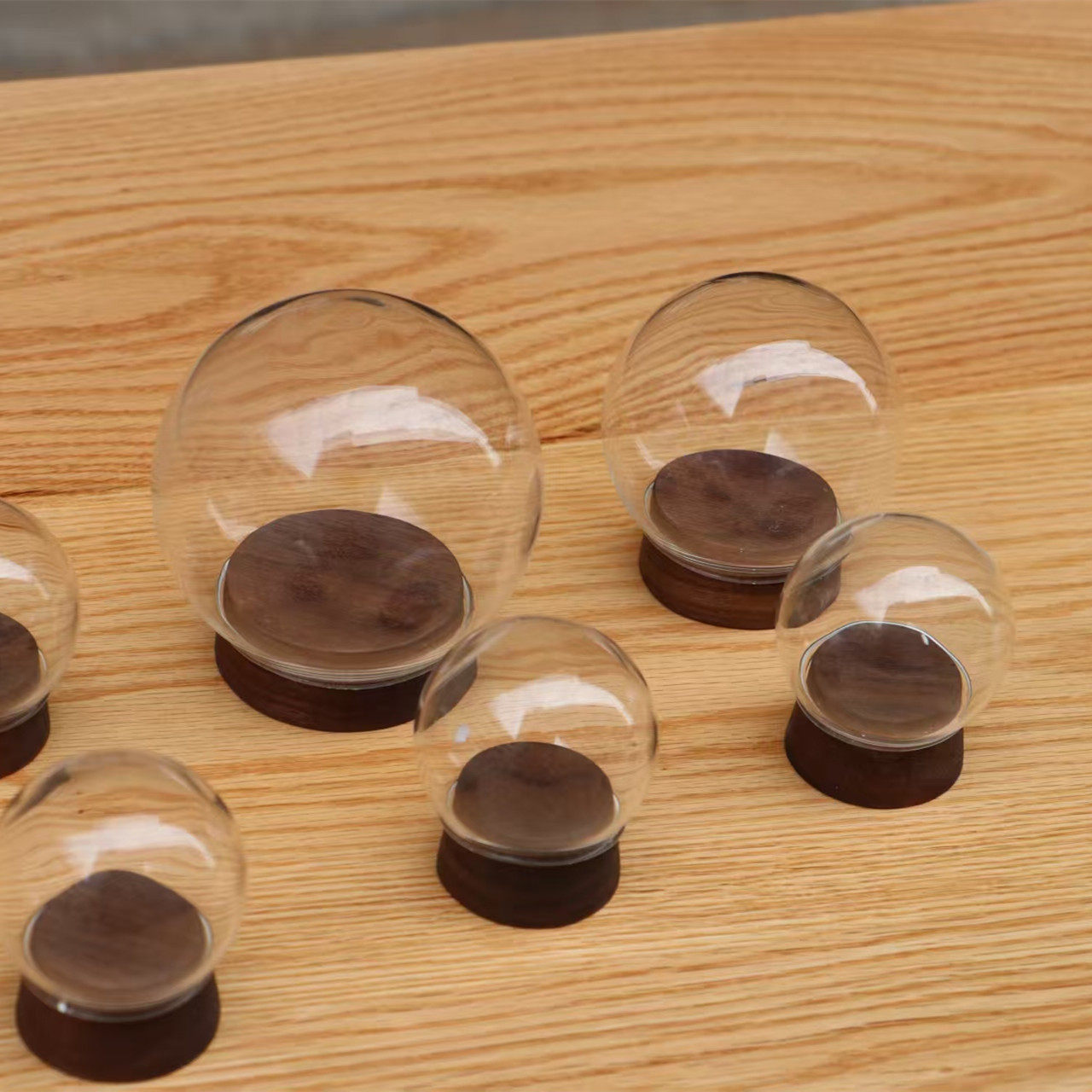 圆球玻璃罩黑胡桃木底座木塞收纳展示盒水晶球干花防尘罩礼物展示,家居饰品,桌面摆件,淘宝优惠券,粉丝福利购,淘宝优惠卷