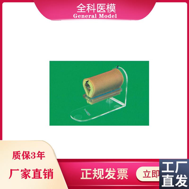 环形局部浸润G麻醉训练模型