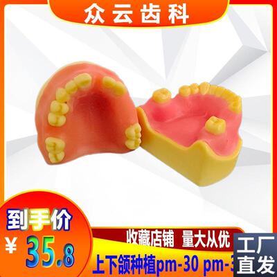口腔种植练习模型pim-p30,pim-34种植练习缝合练习,骨质硬度1-4类