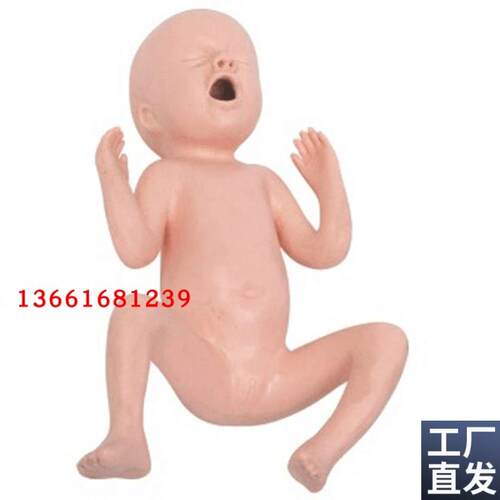 高级24周与30周早产儿模型z婴儿早产示教模型新生儿示教模型