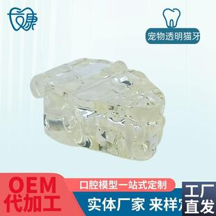 宠物牙齿模型透明狗牙猫牙口腔犬牙教学演示动物倒模具Z猫兽医包