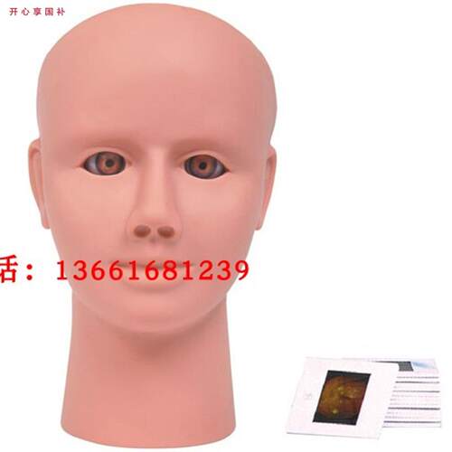 眼内视网膜检查模型眼科医患沟通P教学展示用具眼内视网膜检查病