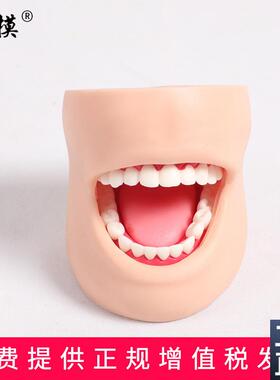沪模HM/K4牙护理带脸颊模型w正常大小牙护理保健口腔护理清洁牙齿