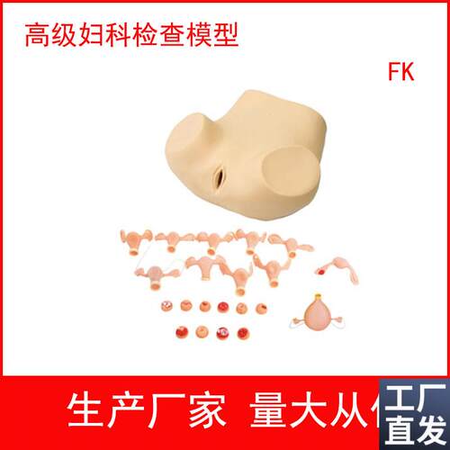 高级妇科c综合检查训练模型腹腔镜检查及妇婴训练模型子宫触诊视