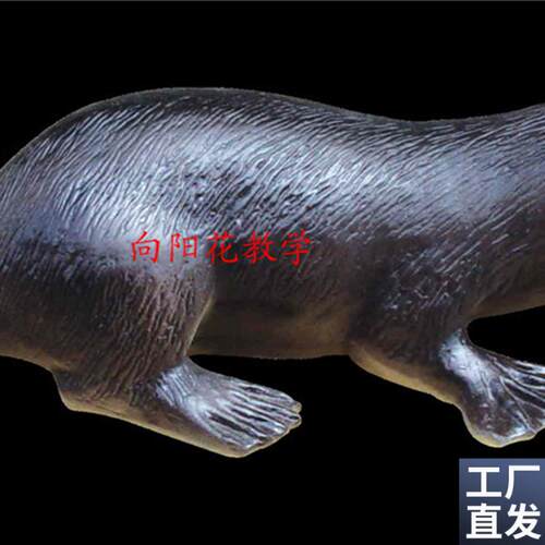 向阳花仿真鸭嘴兽模型教G学动物模型厂家直销