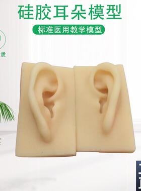 硅胶耳朵模型软TPR耳朵模型厂家供应仿真人耳助Y听展示道具