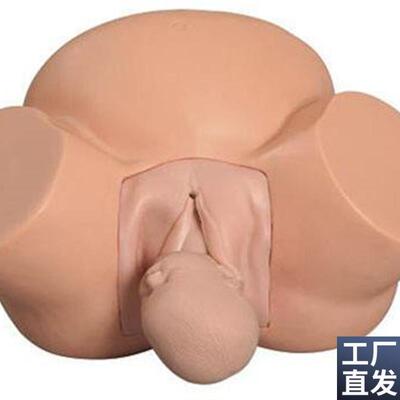 分娩示教a模型高级难产示教训练模型妇产科难产助产分娩教学模型