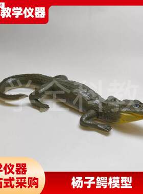 仿真杨子鳄模型鳄鱼动物实心模型玩具g科普摆件生物教学爬行动物