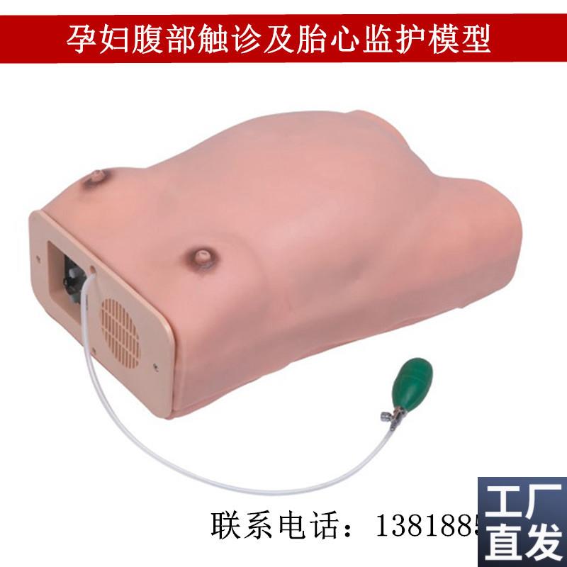 FW2高级电脑孕妇m检查模腹部触诊模型产前检查妇产科训练模型
