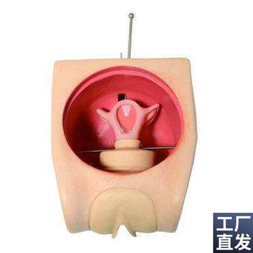 妇科技能训练检查计划生育教学育练D习模型宫内避孕器上环取环模
