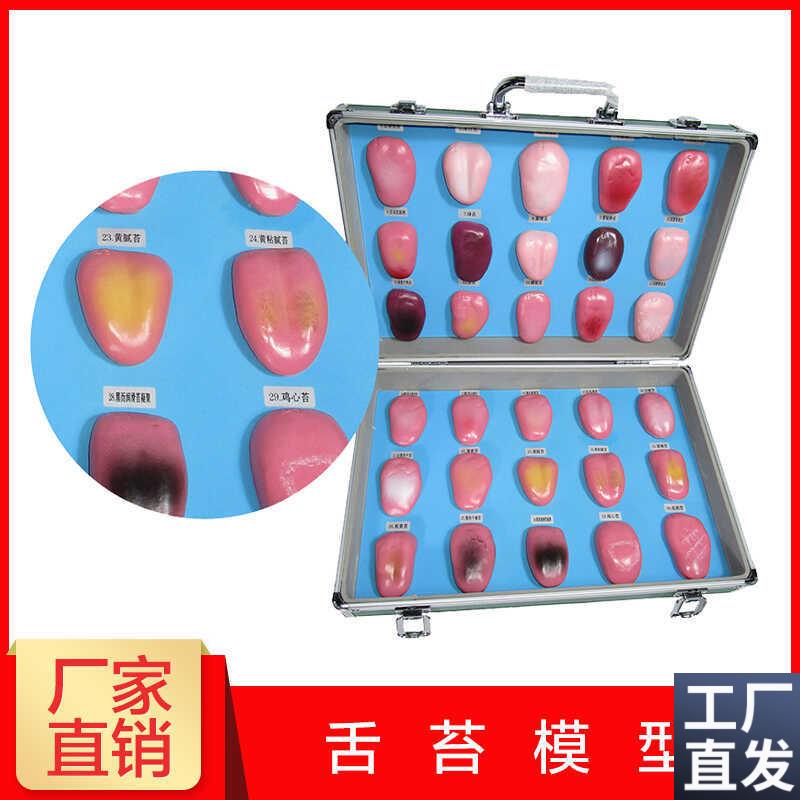 人体舌头舌苔模型常见病舌苔病变比较中医口腔S望诊教学解剖模型