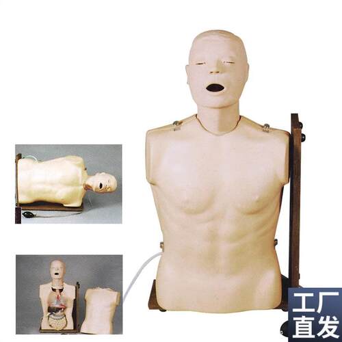高级鼻胃管与气管护理模型G.D/H81