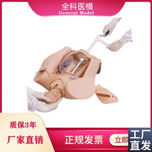高级手摇分娩机制示教模型x女性胎位难产助产综合训练模型机