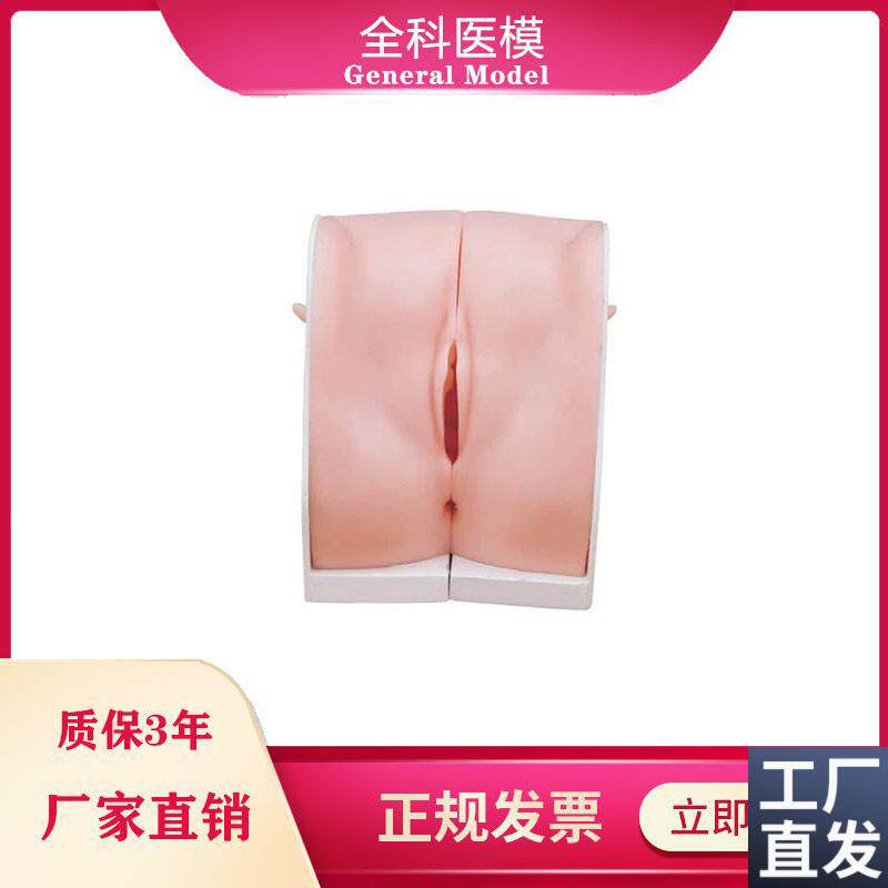 避孕指导模型女性宫o内节育器上环取环训练模型妇科教学用模型