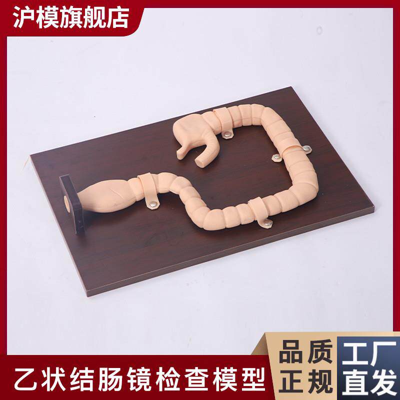 沪模HM/LV42乙状结肠镜检查训练模型结肠内肠病变模E型消化道内窥