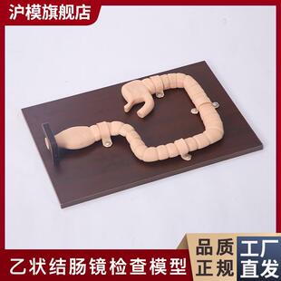 沪模HM/LV42乙状结肠镜检查训练模型结肠内肠病变模E型消化道内窥