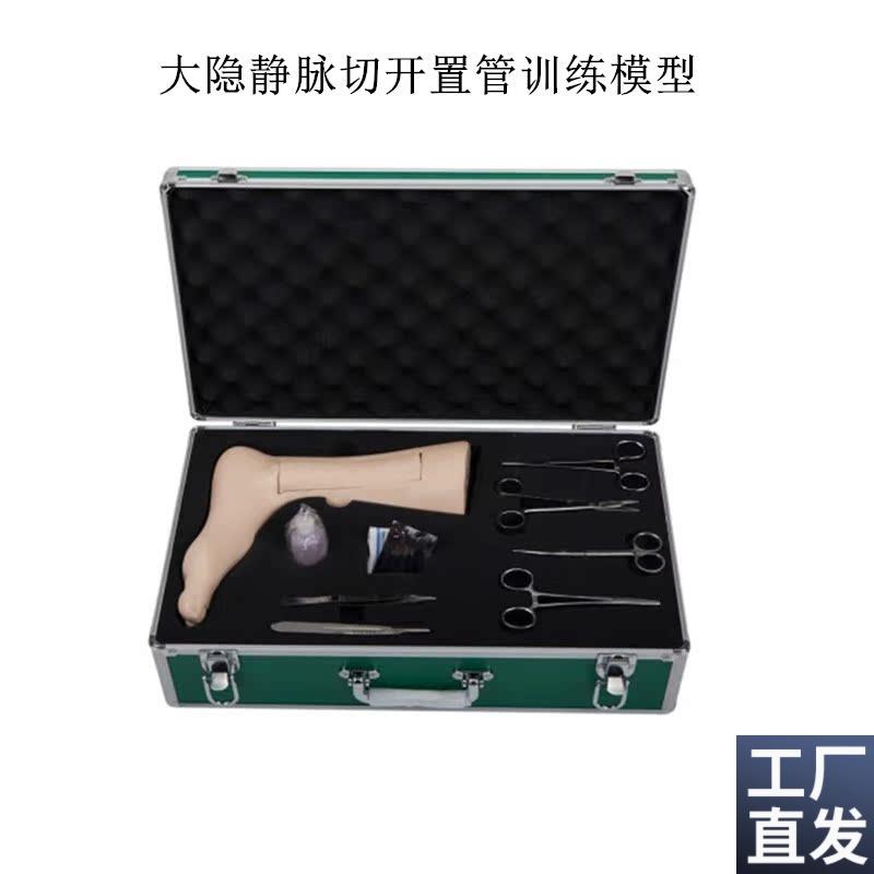 大隐静脉切开F置管训练模型