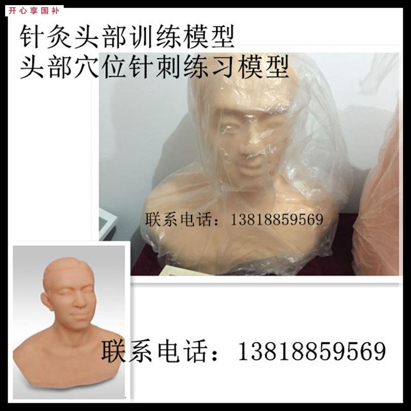 针灸头部训练模d型针灸模型