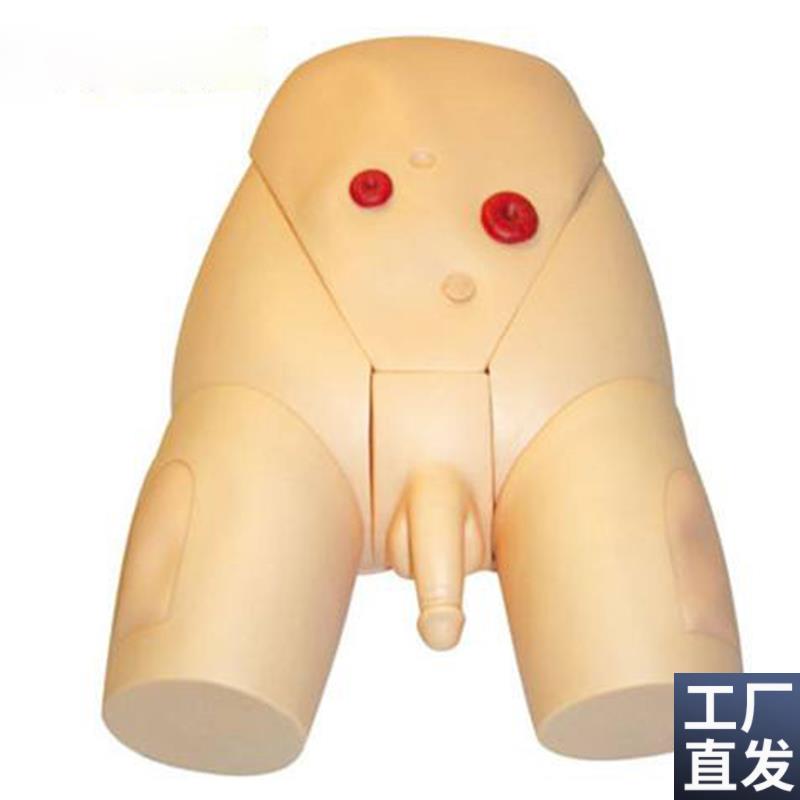高级男性生殖器导尿模型医F学导尿练习模型训练模具