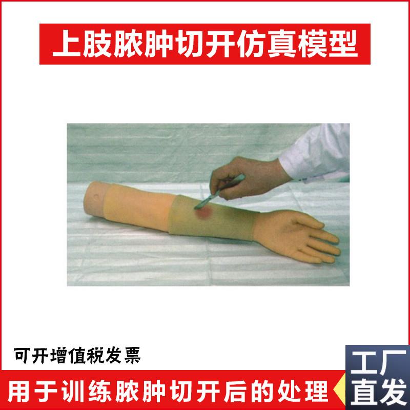上肢脓肿切d开仿真模型脓肿切开引流术模块手臂缝合拆线手臂包扎