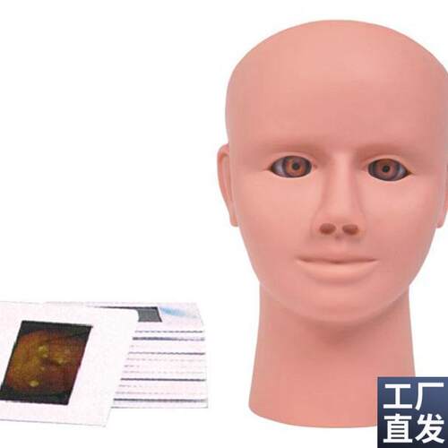 高级眼内视网x膜病变检查模型