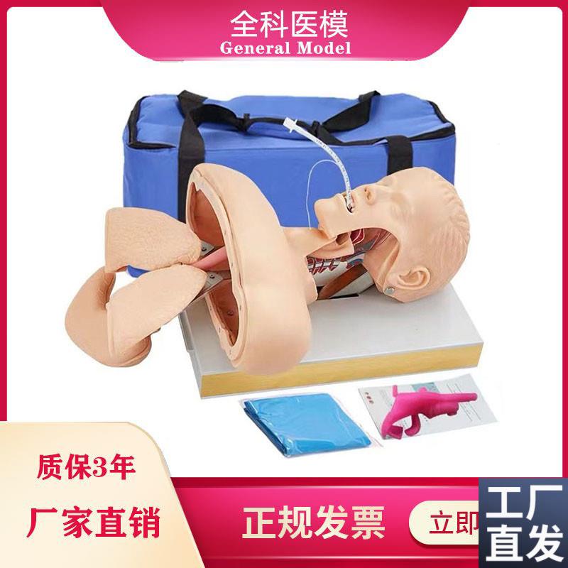 GM/J50高级人体气管插管训练模型成K人口鼻气道管理急救模具