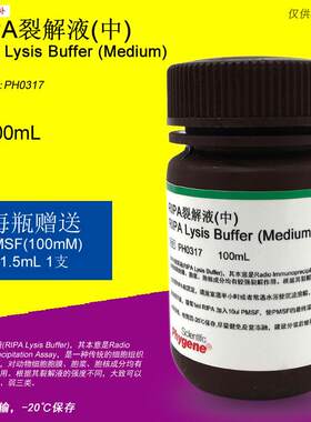 RIPA裂解液(t中)RIPALysisBuffer科研实验PH0317PHYGENE