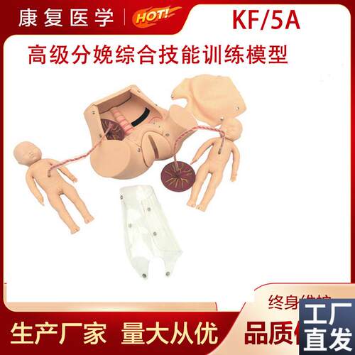 高级分娩综合技能训练模型助产模型胎G儿模型分娩综合技能训练模