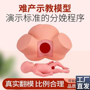 高级难产示教训练模型q分娩示教模型妇产科难产助产分娩教学模型