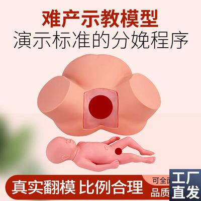 高级难产示教训练模型q分娩示教模型妇产科难产助产分娩教学模型