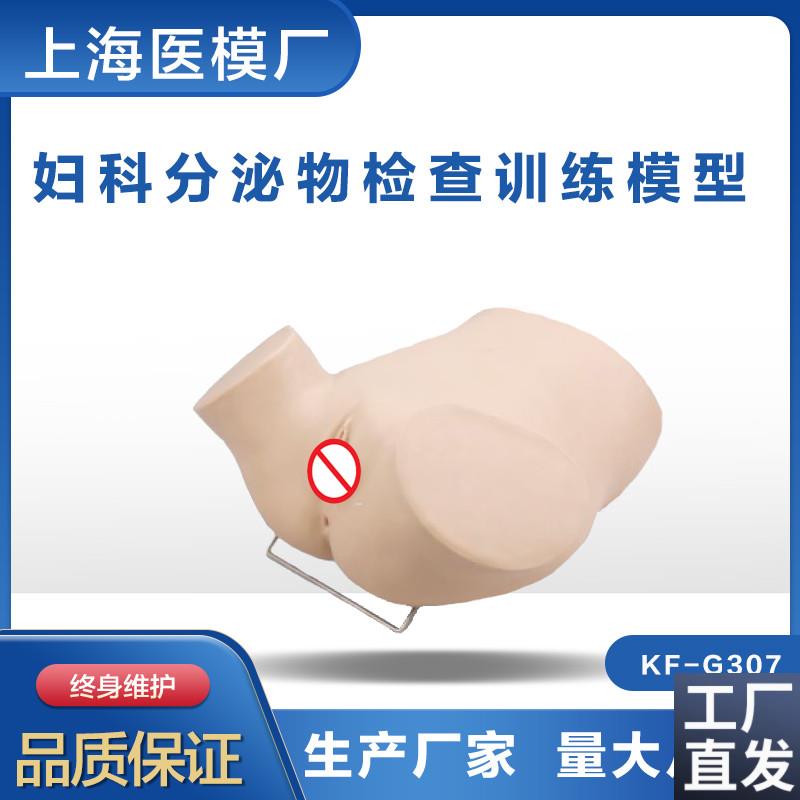 妇科分泌a物检查训练模型阴道分泌物检查模型妇科教学模型