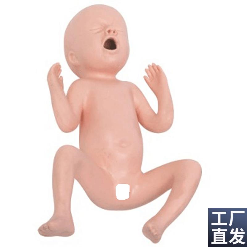 高级24周早产儿模型出生儿模型早T产儿护理模型