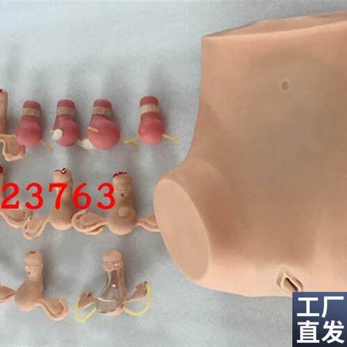 高级妇科综合检查训练模型正常和各类异常子宫触Z诊检查模型