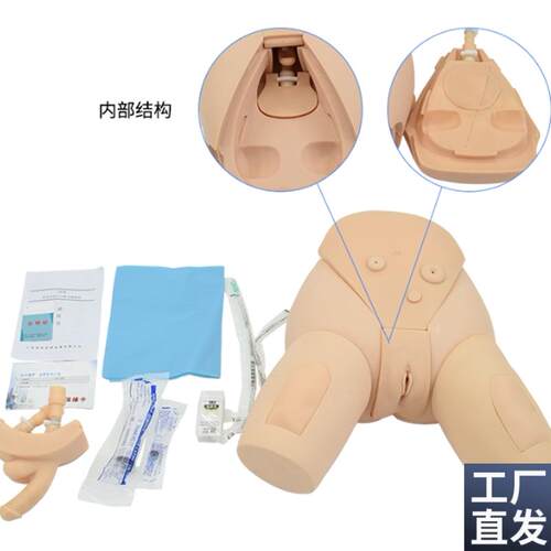下半身导尿护理模型整体导尿培训模型男X女性导尿模型