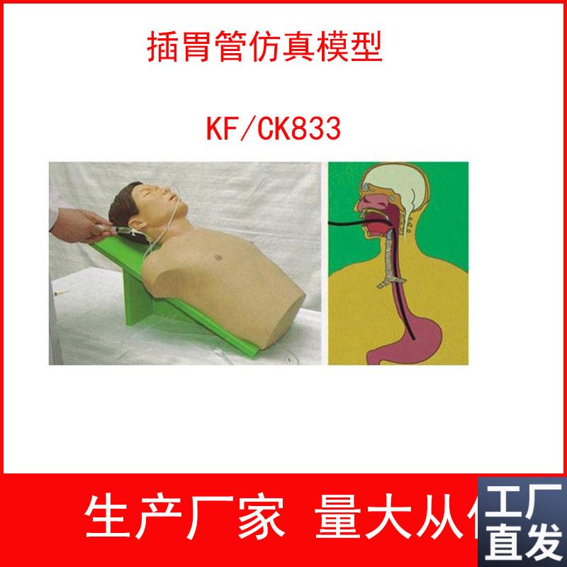 插胃管仿真模型胃灌洗操作训练模型胃J肠减压术胃液采集术模型