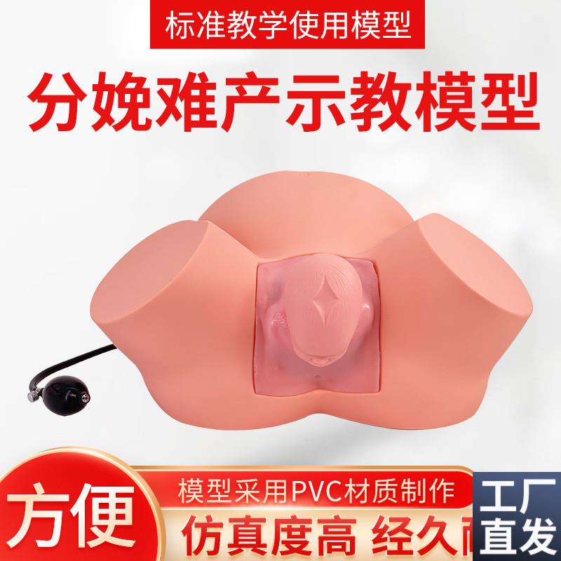 孕妇难产示教模型分娩教学模具难产助产示教训练R生产分娩演示肩