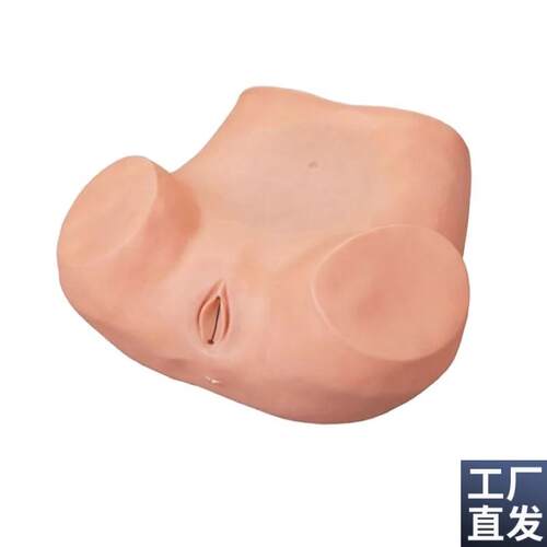 上海妇科训练内诊训n练模型妇女检查模型妇婴训练模型子宫触诊视